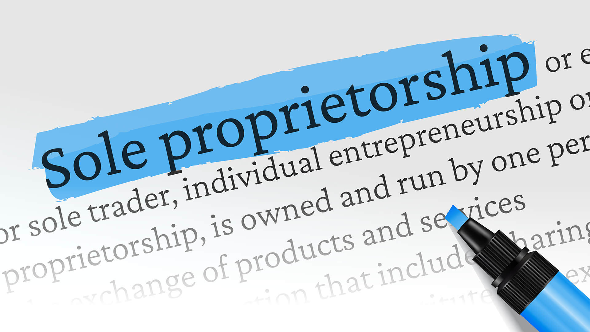 sole proprietorship companies